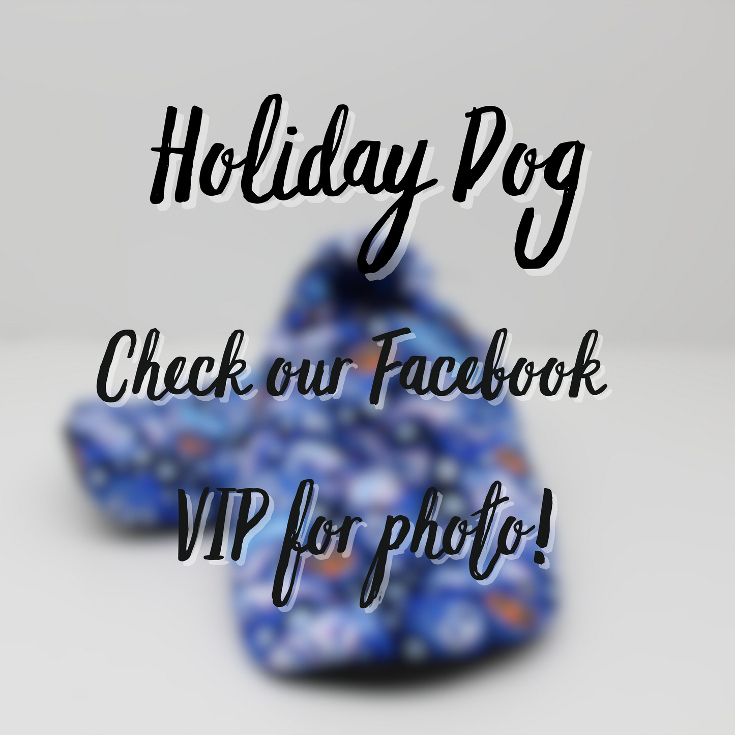 Holiday Dog Everyday Shoes Preorder - 3/4 week TAT